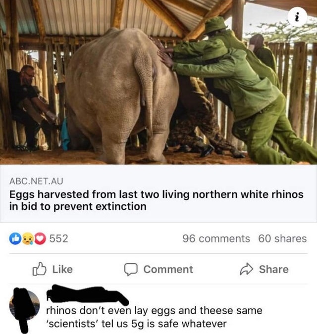 Eggs harvested from last two living northern white rhinos in bid to prevent extinction - rhinos don't even lay eggs and these same 'scientists' tel us 5g is safe whatever