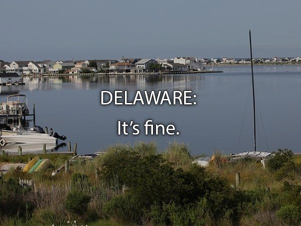 Fenwick Island - lep Delaware It's fine.