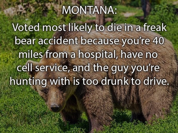 wild animals dangerous to humans - Montana Voted most ly to die in a freak bear accident because you're 40 miles from a hospital, have no cell service, and the guy you're hunting with is too drunk to drive.