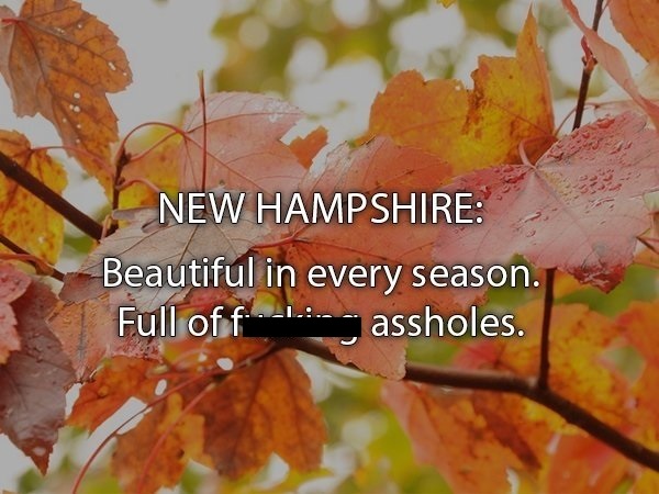 leaf - New Hampshire Beautiful in every season. Full off assholes.