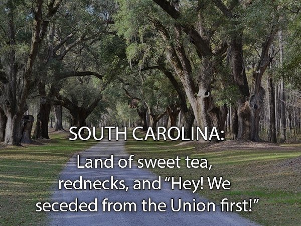 nature - South Carolina Land of sweet tea, rednecks, and Hey! We seceded from the Union first!"
