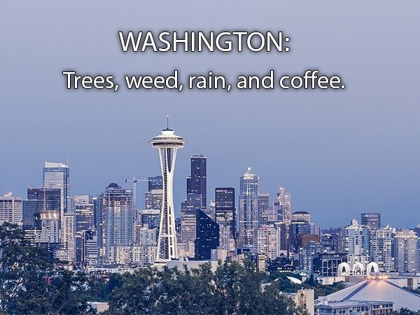 seattle top 10 things to do - 2 Re Washington Trees, weed, rain, and coffee. Biro