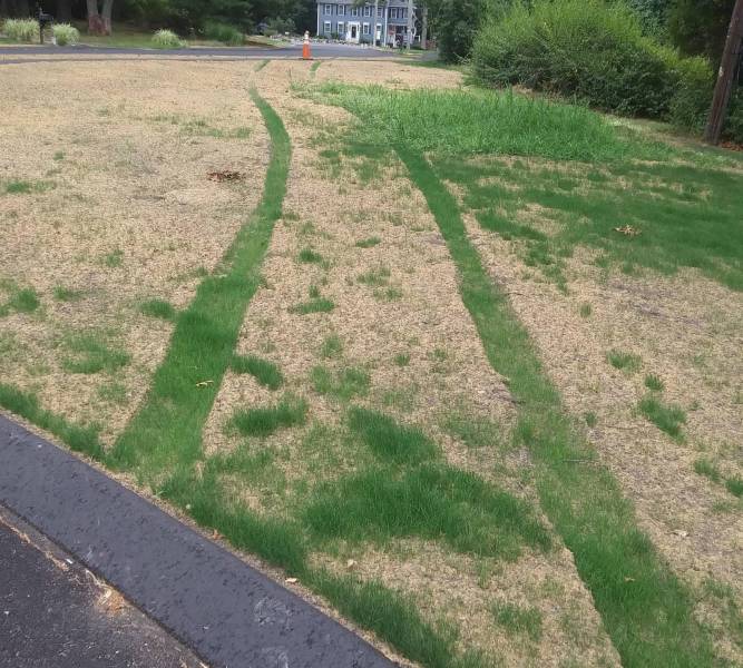 “The grass someone ran over is growing better than the grass that wasnt.”