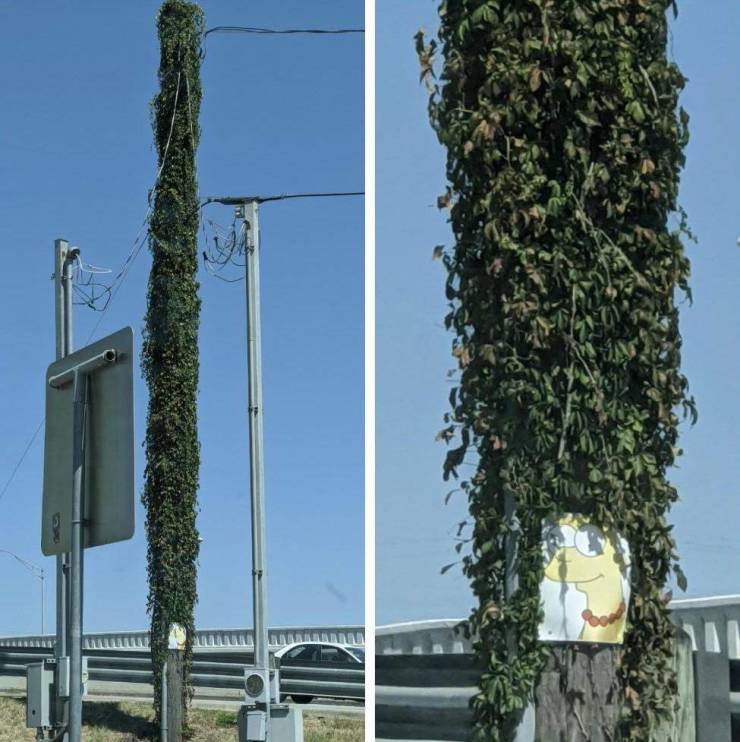 “Marge Simpson Ivy Pole.”