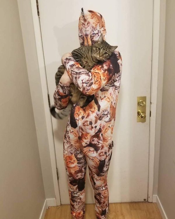 cat lover costume