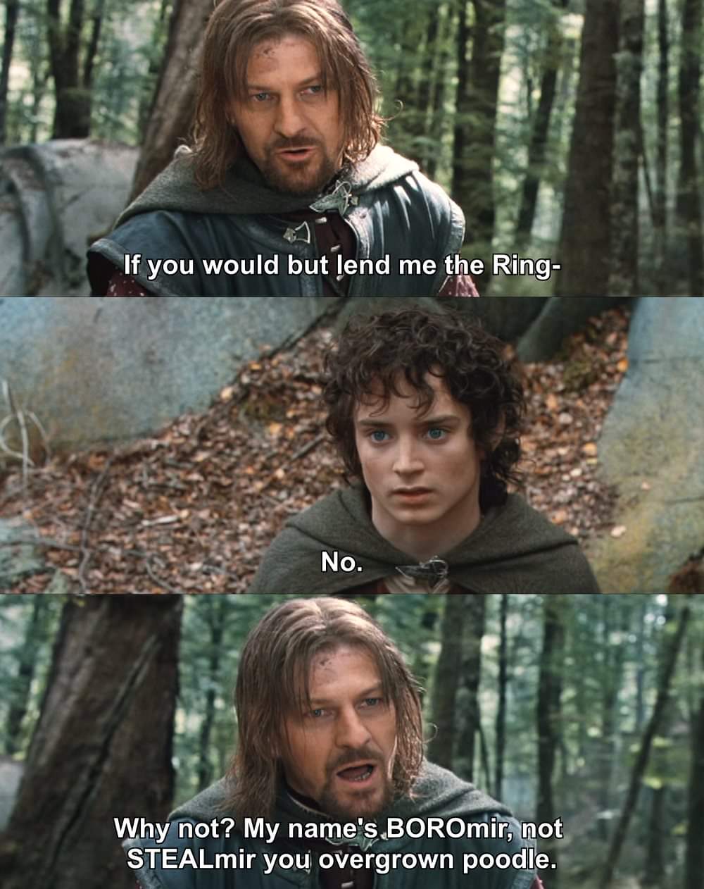 If you would but lend me the Ring No. Why not? My name's BOROmir, not STEALmir you overgrown poodle.