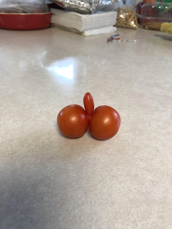 penis and balls shaped tomatoes