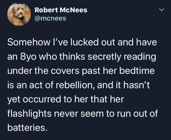 lucky orange - Robert McNees Somehow I've lucked out and have an 8yo who thinks secretly reading under the covers past her bedtime is an act of rebellion, and it hasn't yet occurred to her that her flashlights never seem to run out of batteries.