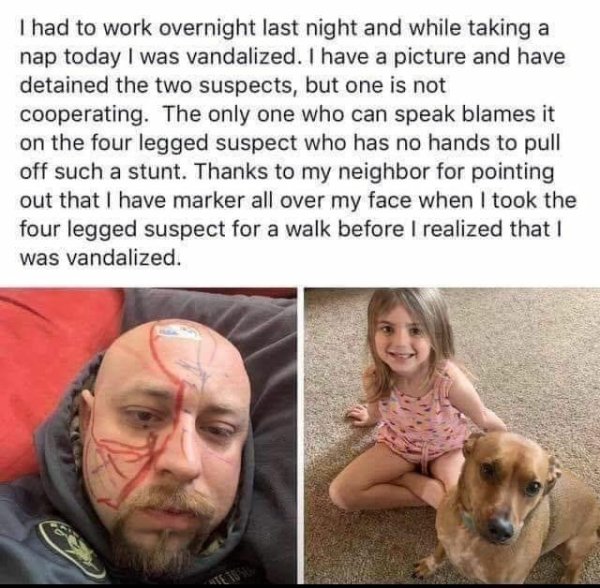 funny joke class memes - I had to work overnight last night and while taking a nap today I was vandalized. I have a picture and have detained the two suspects, but one is not cooperating. The only one who can speak blames it on the four legged suspect who