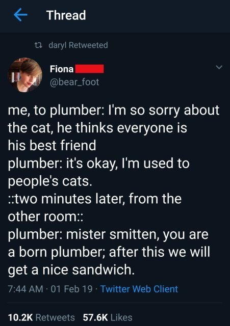 cat plumber meme - Thread 12 daryl Retweeted Fiona me, to plumber I'm so sorry about the cat, he thinks everyone is his best friend plumber it's okay, I'm used to people's cats. two minutes later, from the other room plumber mister smitten, you are a born