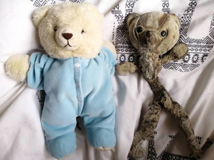 "My teddybear after 22 years of love compared to his original form"