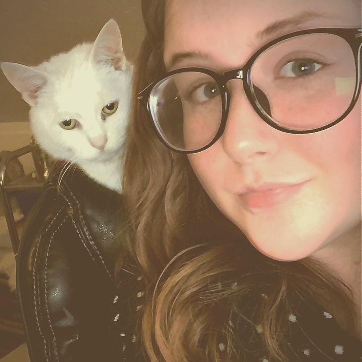 cat wearing leather jacket in front of woman