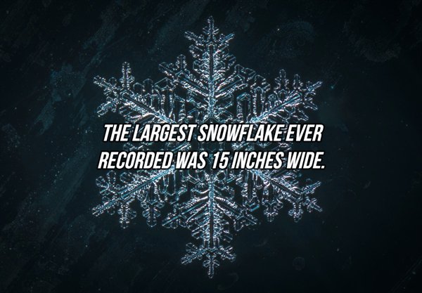 Photography - Al The Largest Snowflake Ever Recorded Was 15 Inches Wide.