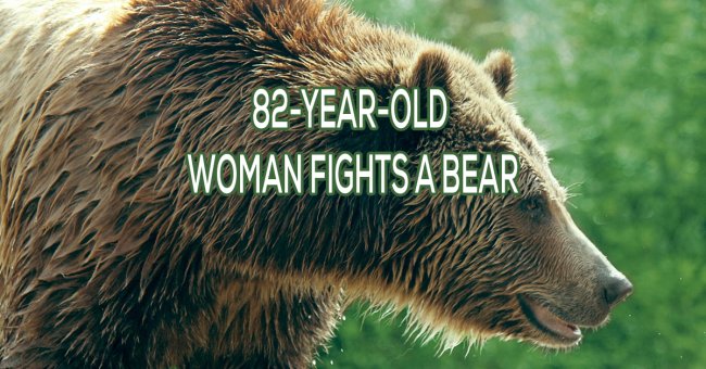 grizzly bear - 82YearOld Woman Fights A Bear