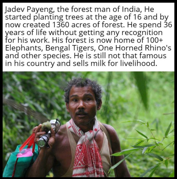 jadav payeng - Jadev Payeng, the forest man of India, He started planting trees at the age of 16 and by now created 1360 acres of forest. He spend 36 years of life without getting any recognition for his work. His forest is now home of 100 Elephants, Beng