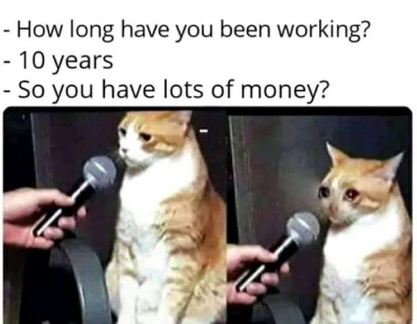 sad cat memes - How long have you been working? 10 years So you have lots of money?