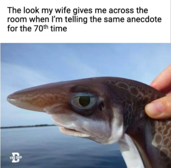 cool funny fish - The look my wife gives me across the room when I'm telling the same anecdote for the 70th time The Dad