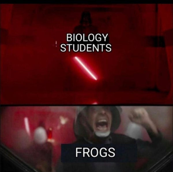 star wars we need sand meme - Biology Students Frogs