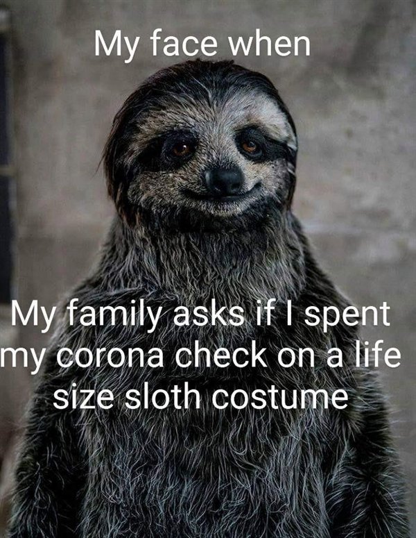 Sloths - My face when My family asks if I spent my corona check on a life size sloth costume