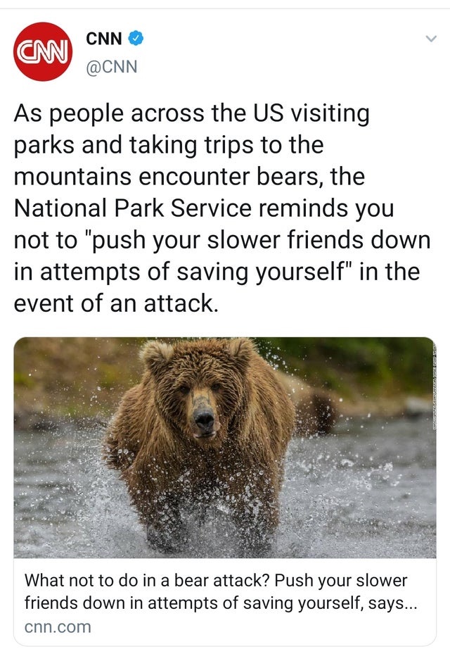 fauna - Cnn > Cn As people across the Us visiting parks and taking trips to the mountains encounter bears, the National Park Service reminds you not to "push your slower friends down in attempts of saving yourself" in the event of an attack. What not to d