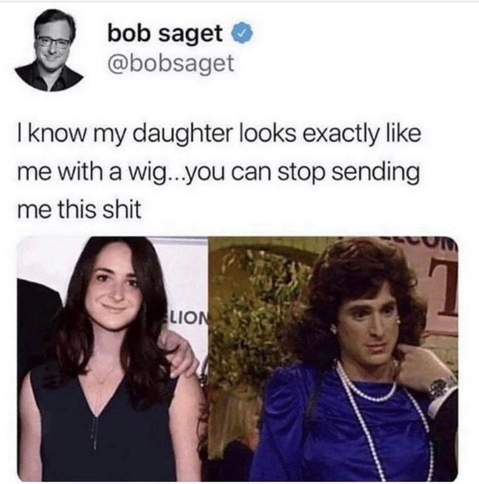 stop sending me this meme - bob saget I know my daughter looks exactly me with a wig...you can stop sending me this shit Lion