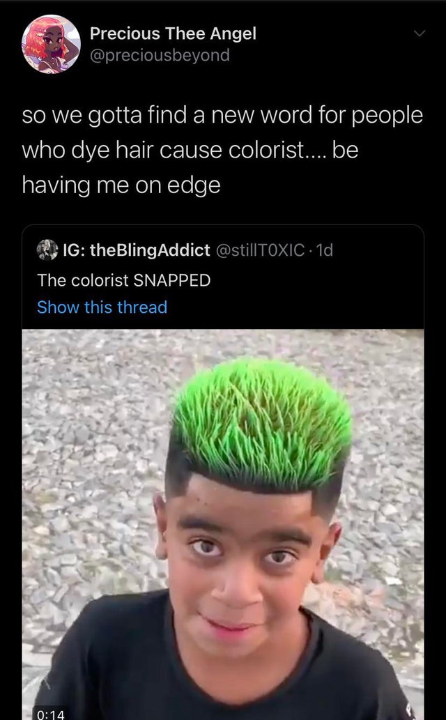 photo caption - Precious Thee Angel so we gotta find a new word for people who dye hair cause colorist.... be having me on edge Ig theBlingAddict 1d The colorist Snapped Show this thread