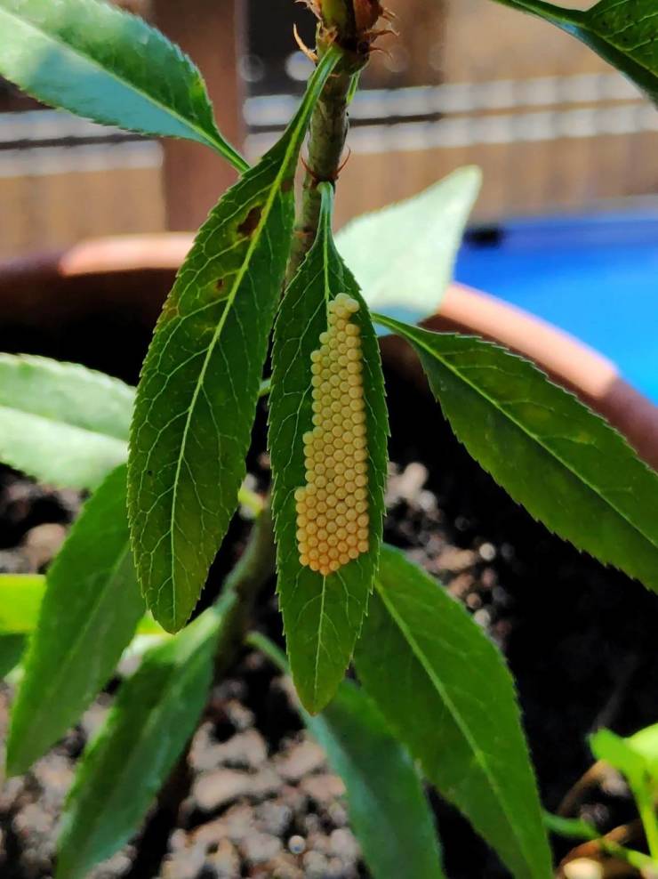 20 Times Nature Made People Stop in Their Tracks.