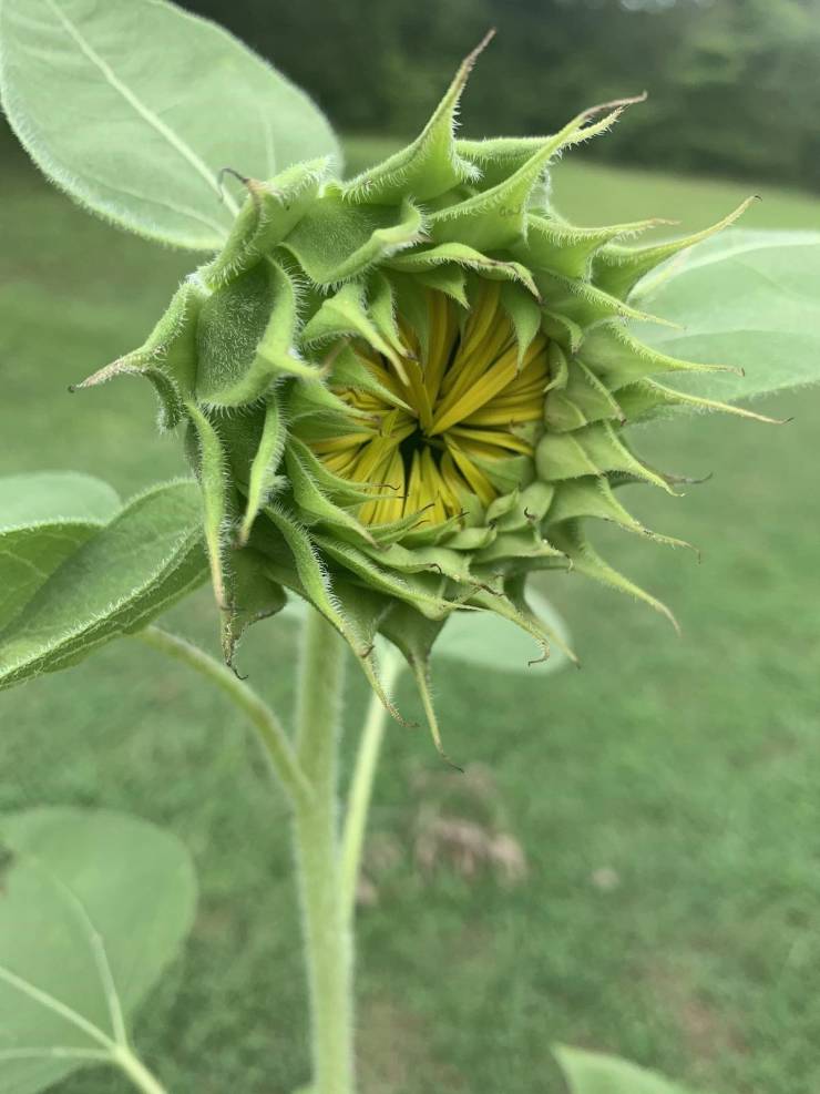 20 Times Nature Made People Stop in Their Tracks.