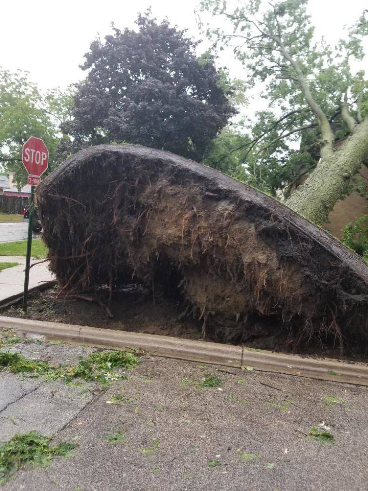 20 Times Nature Made People Stop in Their Tracks.