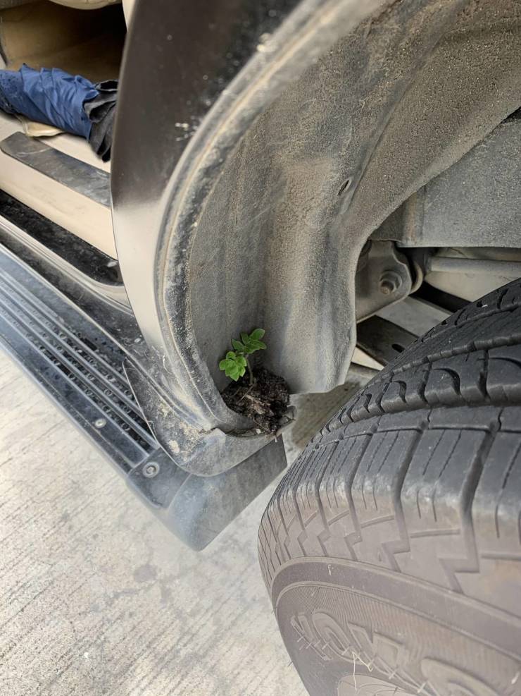 20 Times Nature Made People Stop in Their Tracks.