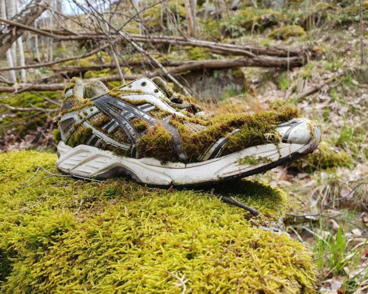 20 Times Nature Made People Stop in Their Tracks.