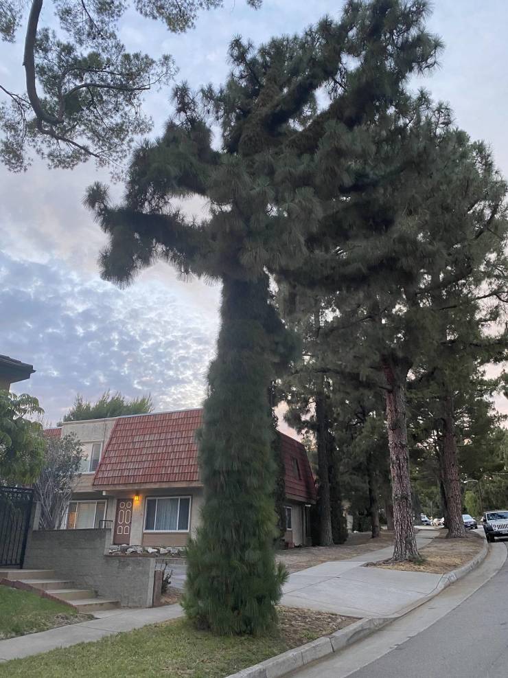 20 Times Nature Made People Stop in Their Tracks.