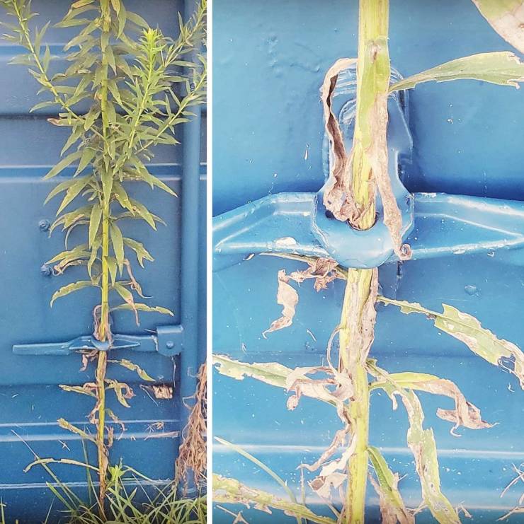 20 Times Nature Made People Stop in Their Tracks.