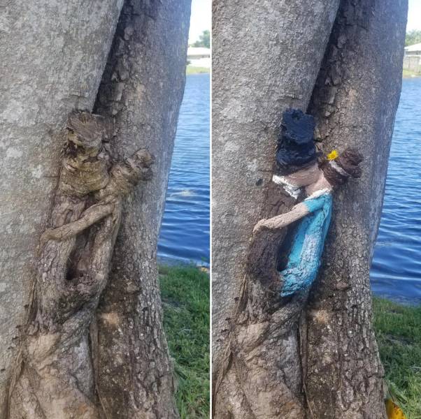 20 Times Nature Made People Stop in Their Tracks.