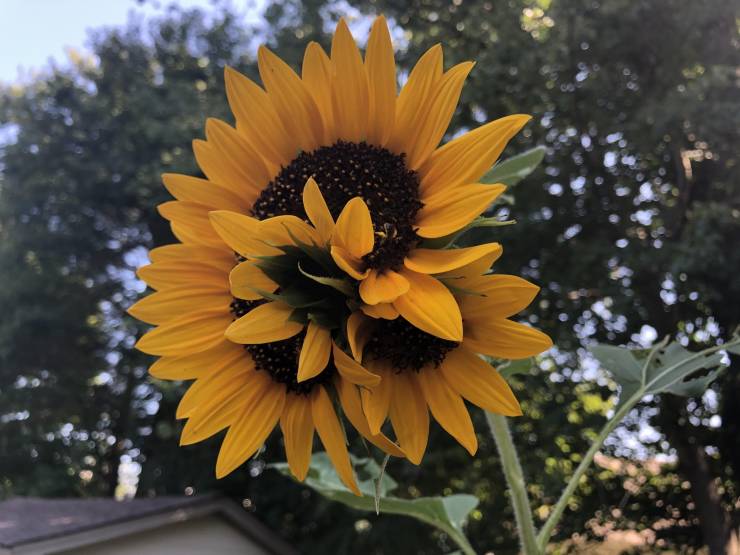 20 Times Nature Made People Stop in Their Tracks.