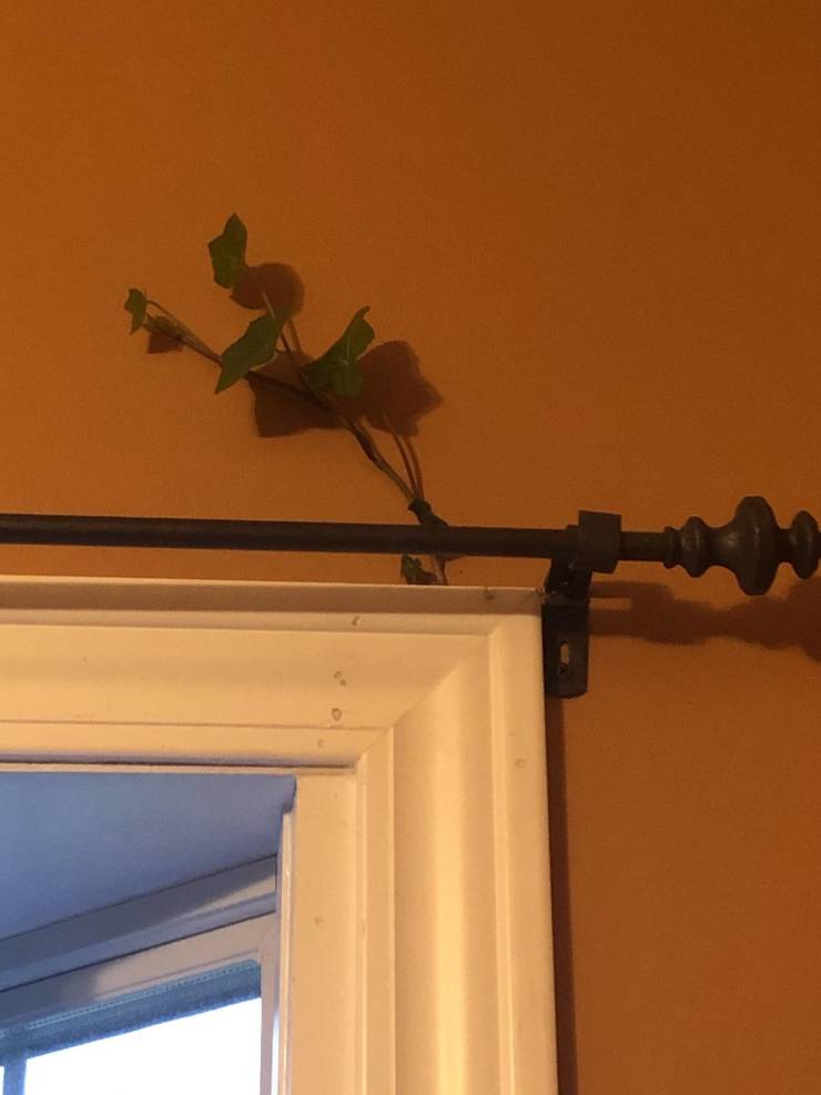 20 Times Nature Made People Stop in Their Tracks.