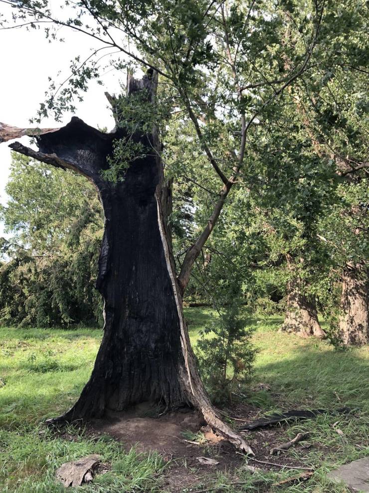 20 Times Nature Made People Stop in Their Tracks.