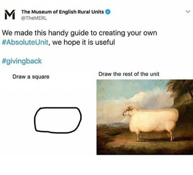 fauna - M The Museum of English Rural Units We made this handy guide to creating your own Unit, we hope it is useful Draw a square Draw the rest of the unit