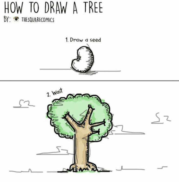 draw a seed - How To Draw A Tree By Thesquarecomics 1. Draw a seed 2. Wait sz