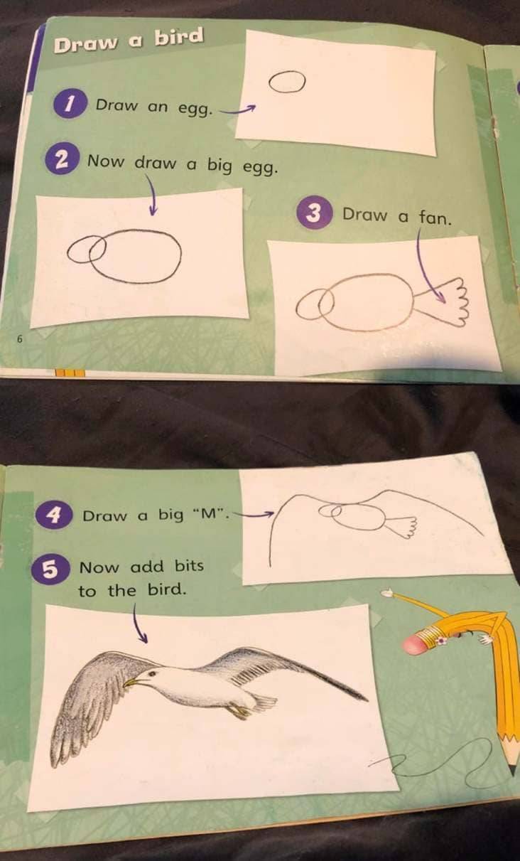 add bits to the bird - Draw a bird 1 Draw an egg. 2 Now draw a big egg. 3 Draw a fan. o 4 Draw a big "M". 5 Now add bits to the bird. w