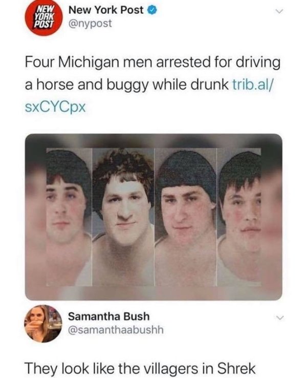 villagers from shrek - New New York Post York Post Four Michigan men arrested for driving a horse and buggy while drunk trib.al sxCYCpx Samantha Bush They look the villagers in Shrek
