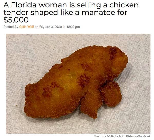manatee chicken tender - A Florida woman is selling a chicken tender shaped a manatee for $5,000 Posted By Colin Wolf on Fri, at Photo via Melinda Britt DisbrowFacebook