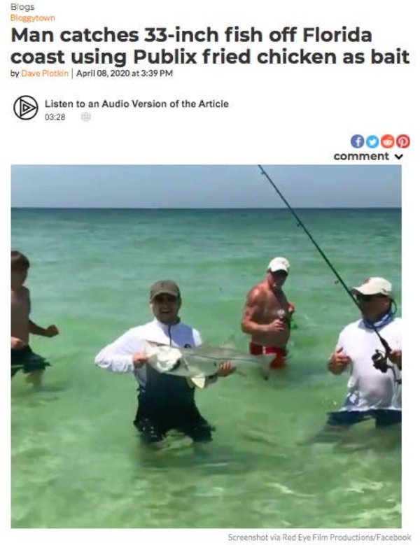 guy catches a fish - Blogs Bloggytown Man catches 33inch fish off Florida coast using Publix fried chicken as bait by Dave Plotkin at Listen to an Audio Version of the Article comment Screenshot via Red Eye Film ProductionsFacebook