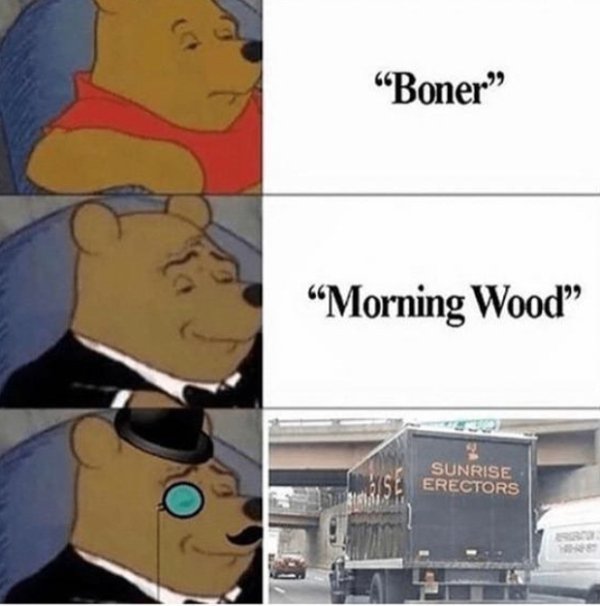 boner meme - "Boner" Morning Wood 4155 Sunrise Erectors