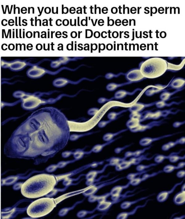 When you beat the other sperm cells that could've been Millionaires or Doctors just to come out a disappointment