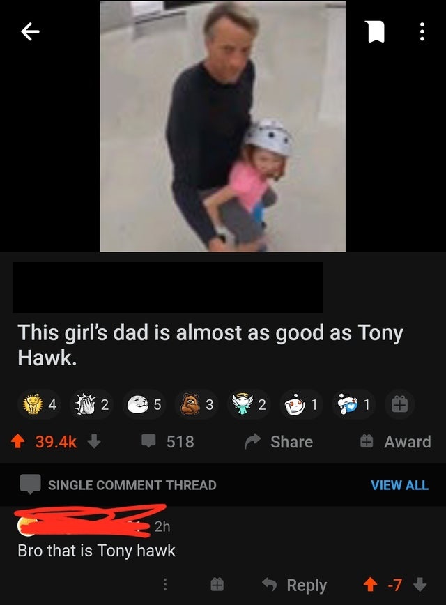 screenshot - R R This girl's dad is almost as good as Tony Hawk. 4 N 2 5 23 2 1 1 518 Award Single Comment Thread View All 2h Bro that is Tony hawk 3 4 7