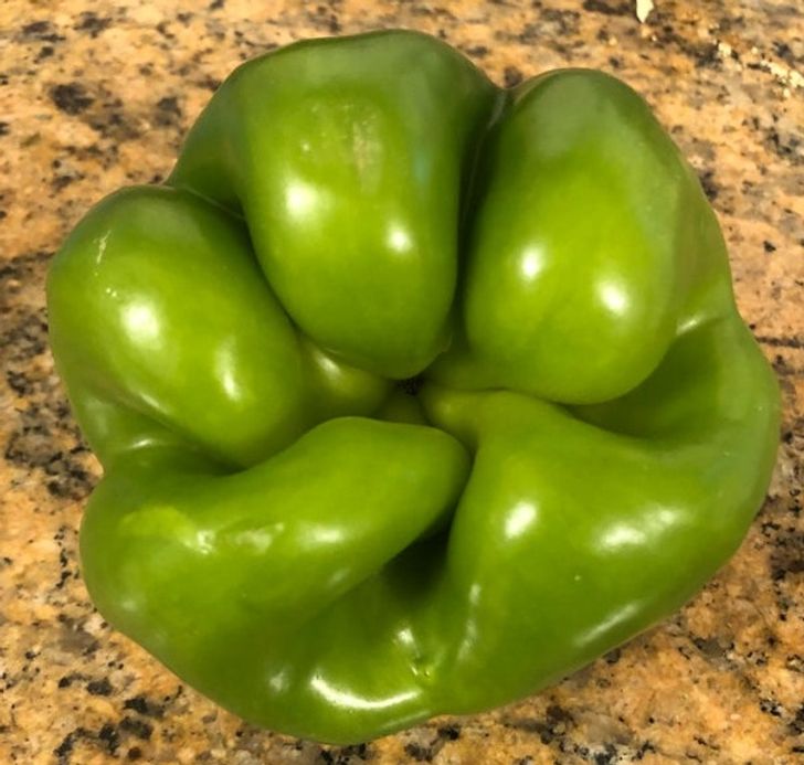 A bell pepper that looks like a human clenched fist
