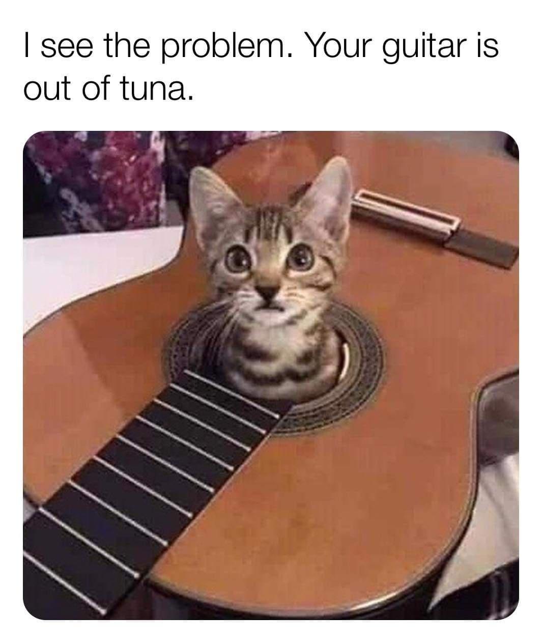 funny memes - out of tuna - I see the problem. Your guitar is out of tuna.