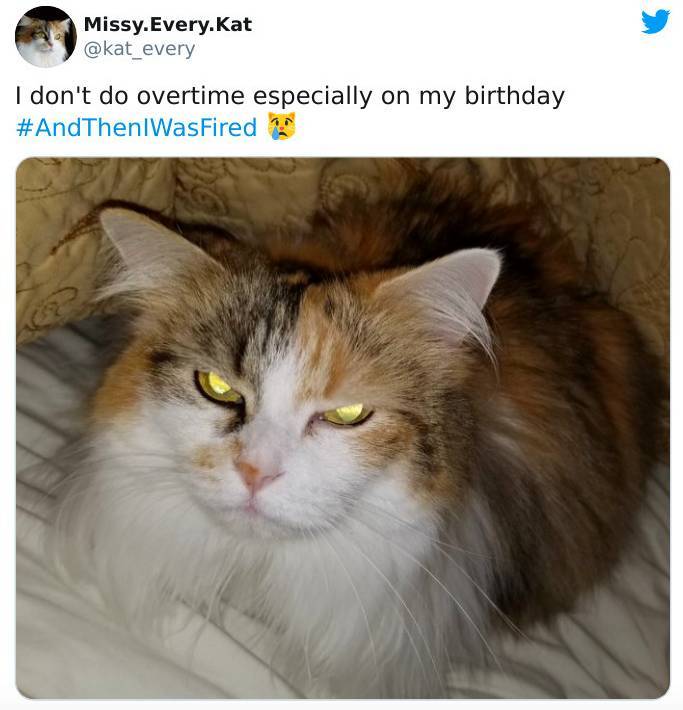 strange ways people got fired - fauna - Missy.Every.Kat I don't do overtime especially on my birthday WasFired