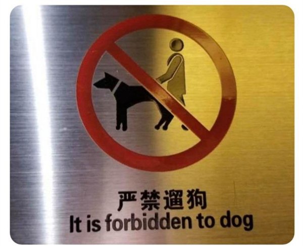 It is forbidden to dog